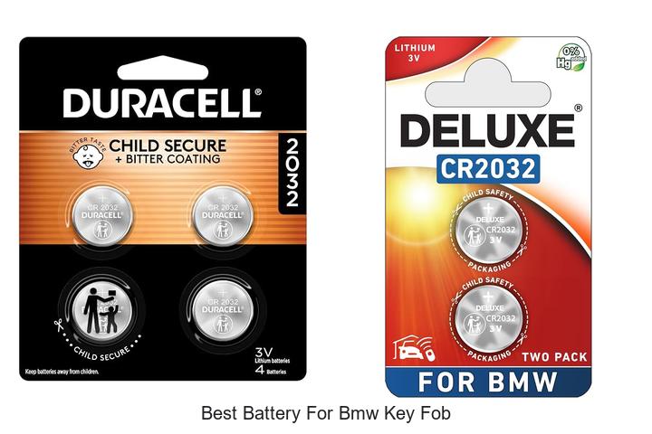 Top 12 Best Battery for BMW Key Fob That Lasts Long!