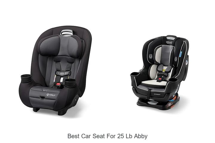 Top 12 Best Car Seat For 25 Lb Abby That Shock Parents