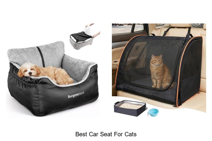Top 12 Best Car Seat For Cats That Will Blow Your Mind