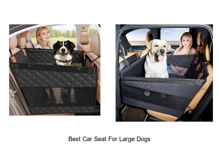 Top 12 Best Car Seat For Large Dogs You Can’t Miss