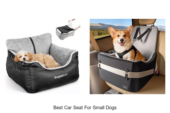 Top 12 Best Car Seat For Small Dogs That Will Wow You