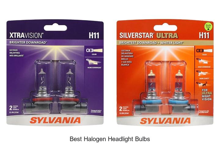 Top 12 Best Halogen Headlight Bulbs You Can’t Miss
